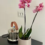 Apartman Art Heritage Split