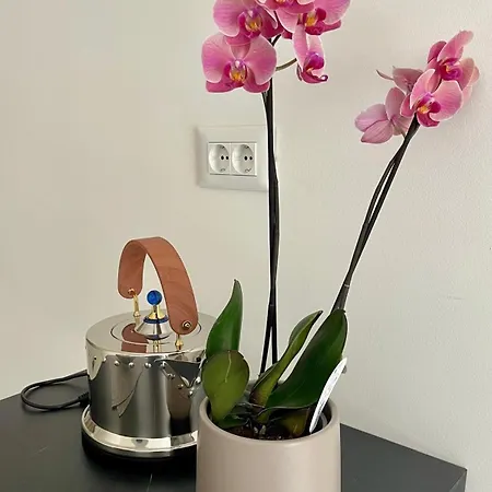 Apartment Art Heritage Split