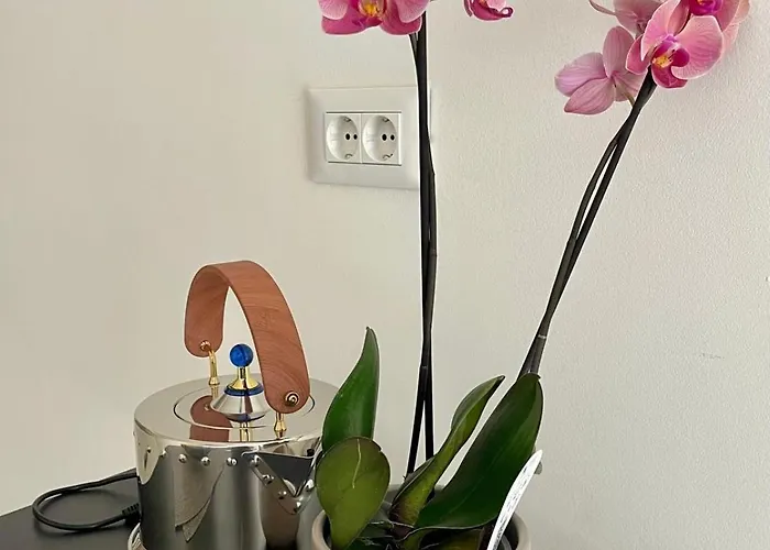 شقة Art Heritage سبليت